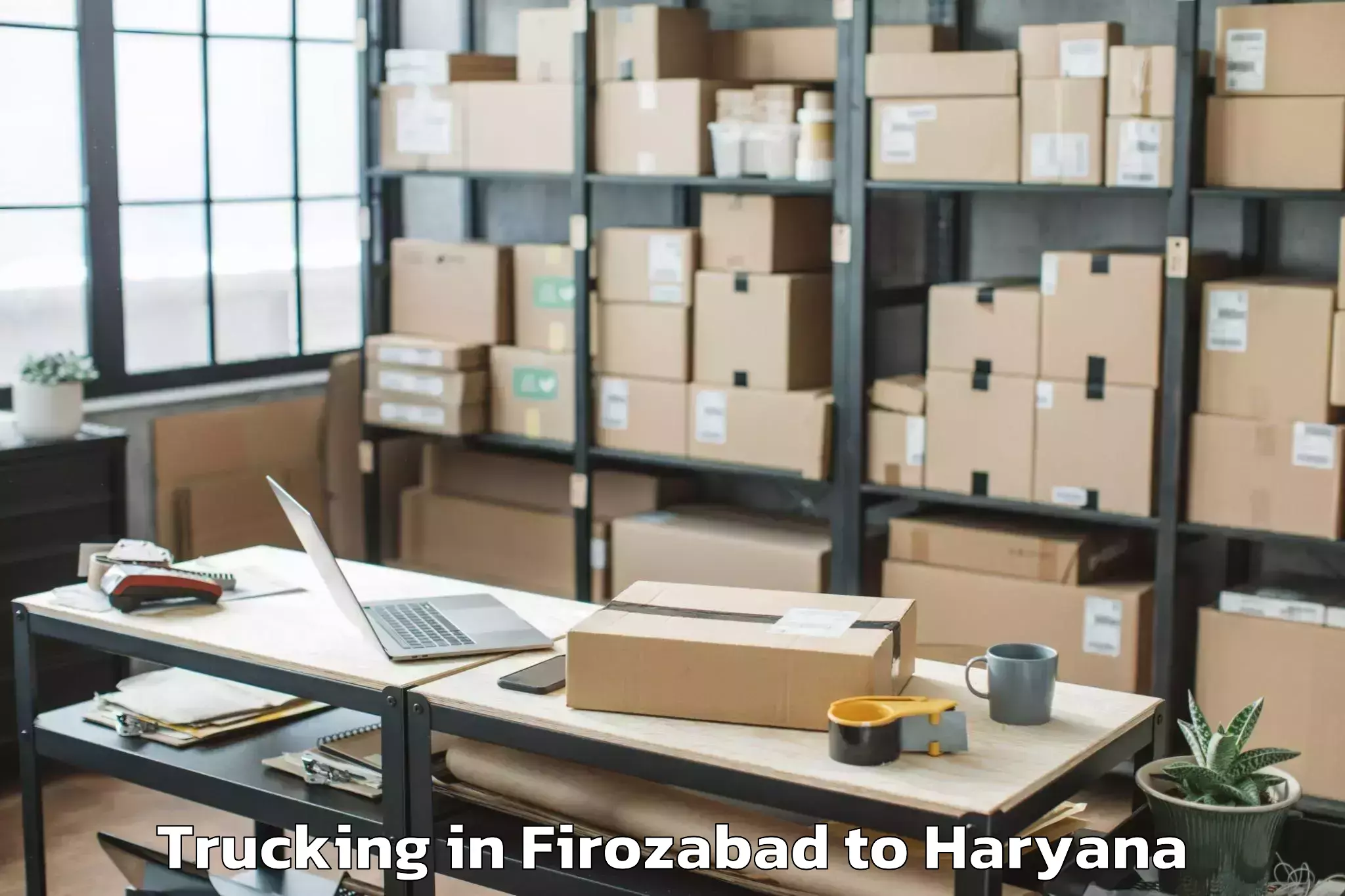 Book Firozabad to Khanpur Kalan Trucking